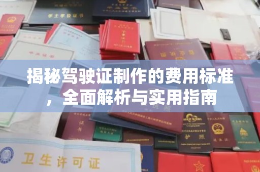 宁乡揭秘驾驶证制作的费用标准，全面解析与实用指南